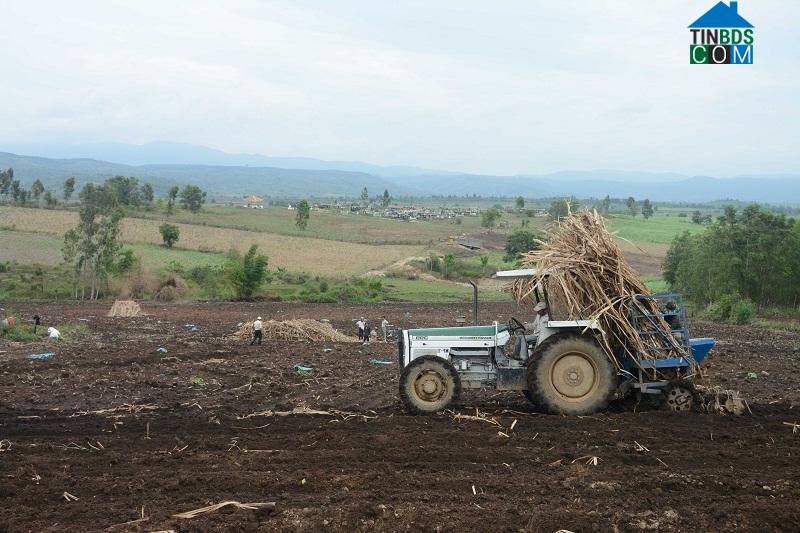 Hình ảnh Ea Ly, Đắk Lắk