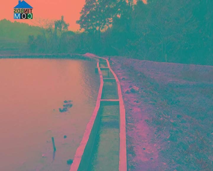 Hình ảnh Xa Dung, Điện Biên