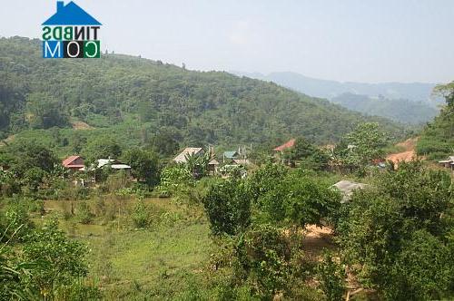 Hình ảnh Phình Giàng, Điện Biên