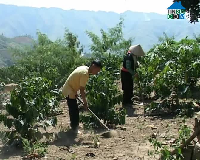 Hình ảnh Quài Tở, Điện Biên