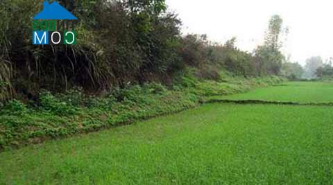 Hình ảnh Thanh An, Điện Biên