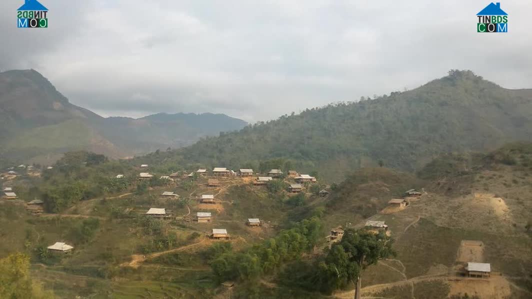 Hình ảnh Tìa Dình, Điện Biên