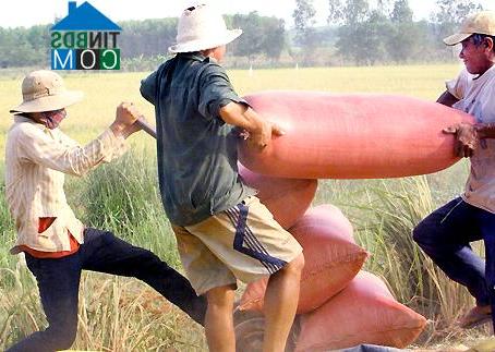 Hình ảnh Tân An, Đồng Nai