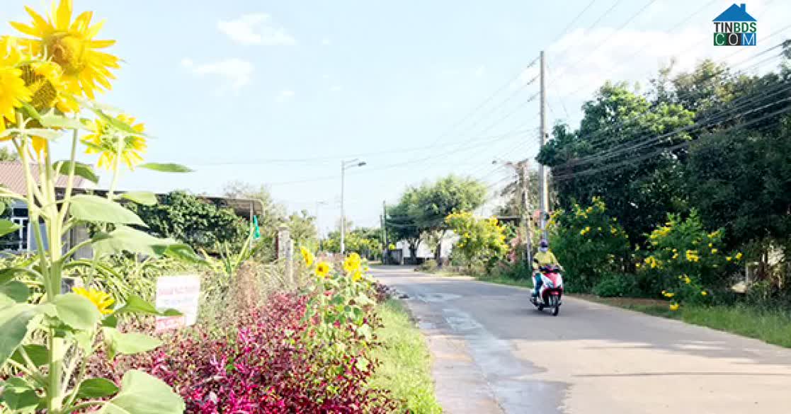 Hình ảnh Xuân Định, Đồng Nai