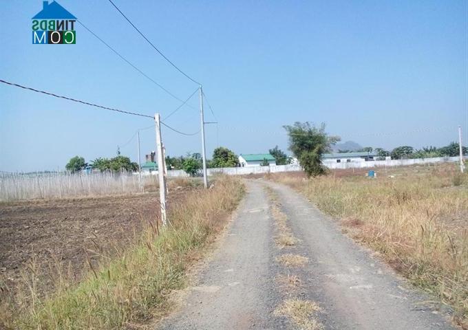 Hình ảnh Xuân Đông, Đồng Nai