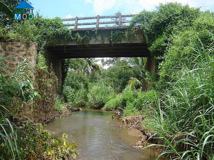 Hình ảnh Xuân Lập, Đồng Nai