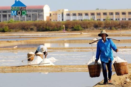 Hình ảnh An Thới Đông, Hồ Chí Minh