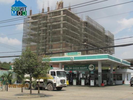 Hình ảnh Tân Thới Hiệp, Hồ Chí Minh