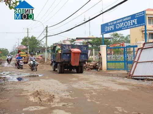 Hình ảnh Bình Hưng, Hồ Chí Minh