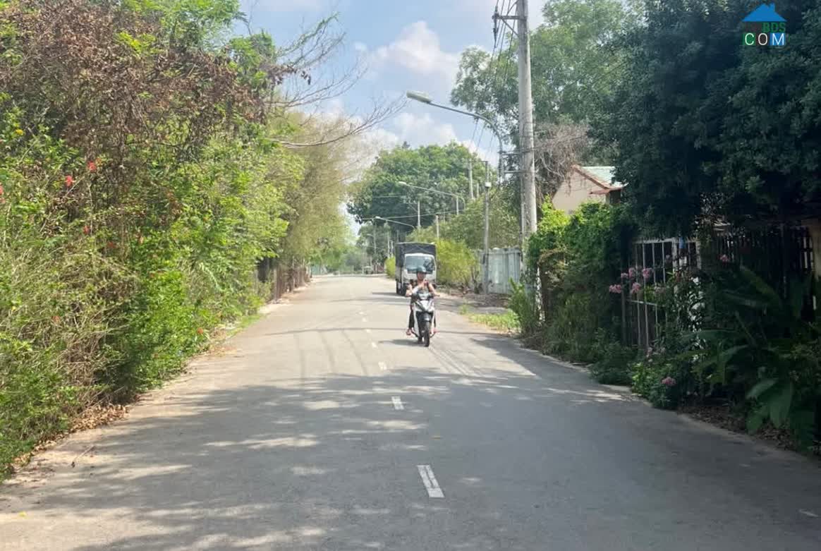 Hình ảnh Trừ Văn Thố, Hồ Chí Minh