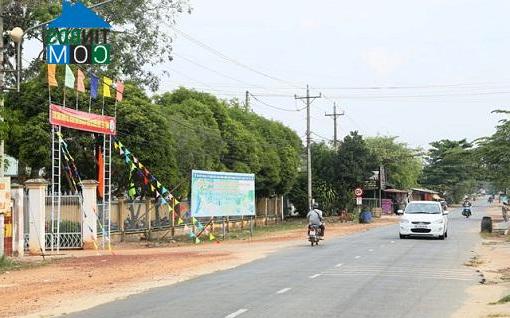 Hình ảnh Long Nguyên, Hồ Chí Minh