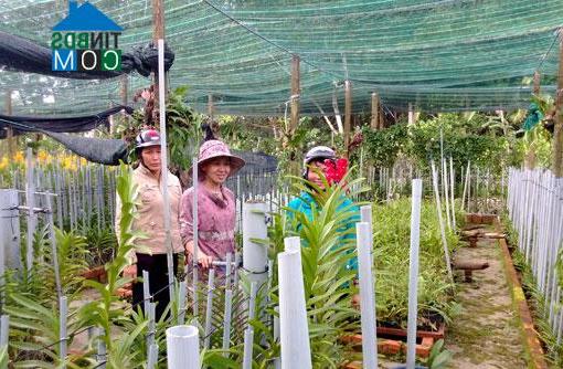 Hình ảnh Chánh Phú Hòa, Hồ Chí Minh