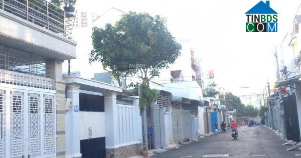 Hình ảnh Tam Thắng, Hồ Chí Minh