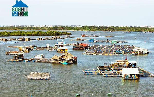 Hình ảnh Long Sơn, Hồ Chí Minh