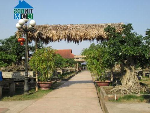 Hình ảnh Hồng Vân, Hà Nội