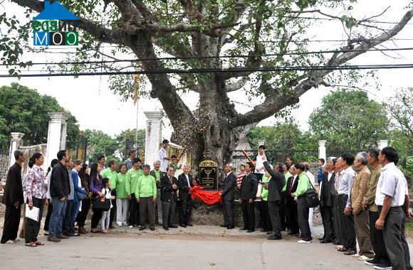 Hình ảnh Hương Sơn, Hà Nội