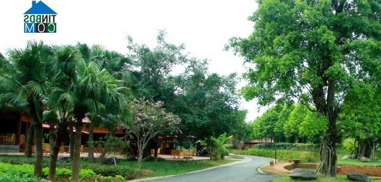 Hình ảnh Tùng Thiện, Hà Nội