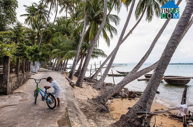 Hình ảnh Tam Hải, Đà Nẵng