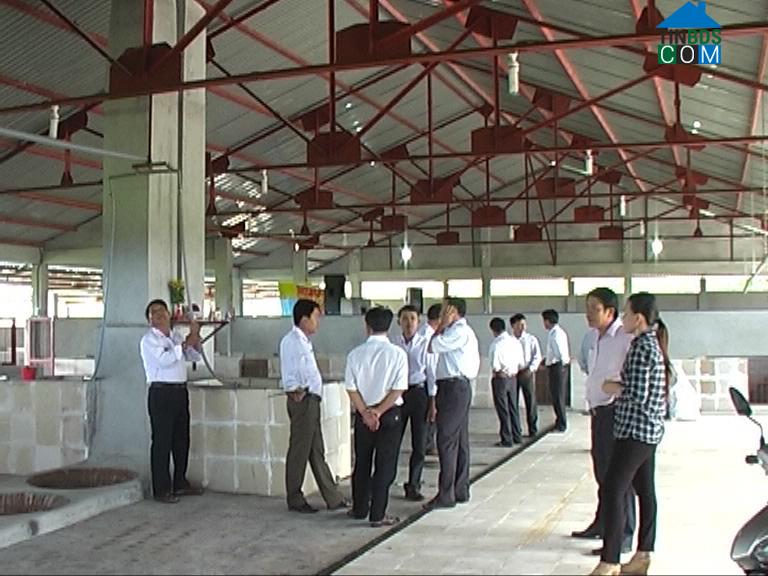 Hình ảnh Xuân Phú, Đà Nẵng