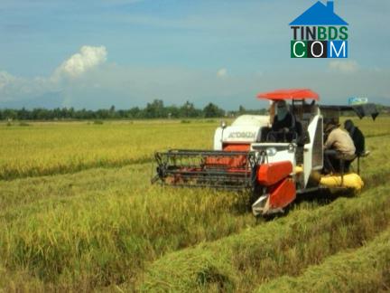 Hình ảnh Điện Bàn Tây, Đà Nẵng