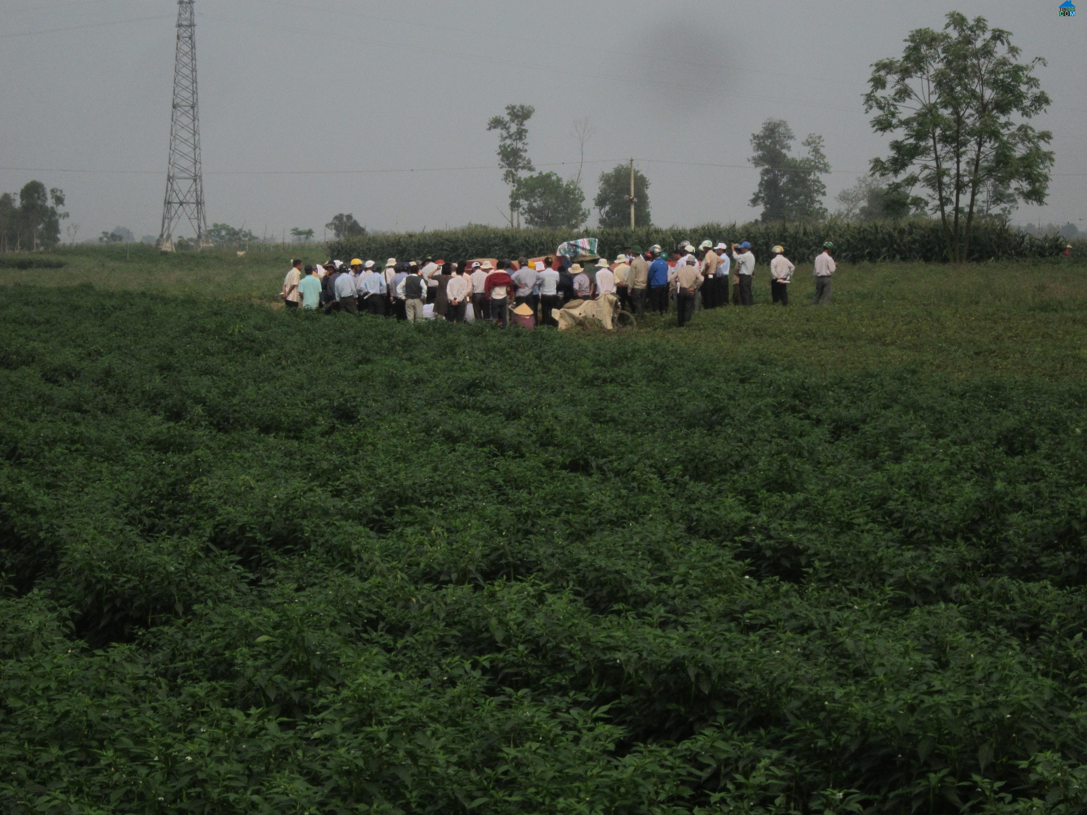 Hình ảnh Gò Nổi, Đà Nẵng