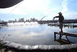 Hình ảnh Tam Anh, Đà Nẵng