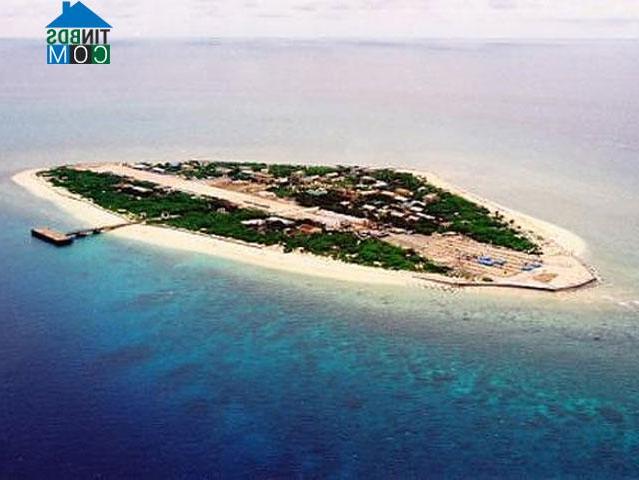 Hình ảnh Hoàng Sa, Đà Nẵng