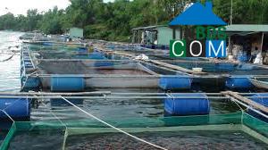 Hình ảnh Hương Trà, Đà Nẵng