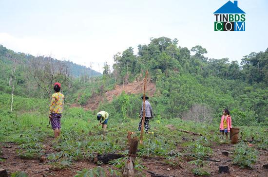 Hình ảnh Phước Thành, Đà Nẵng