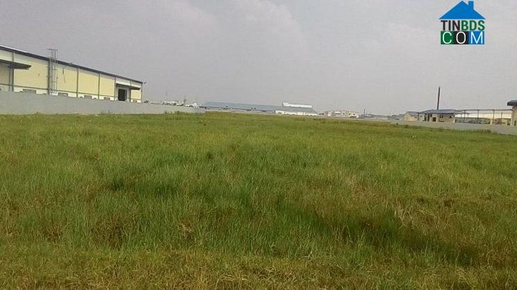 Hình ảnh Mao Điền, Hải Phòng