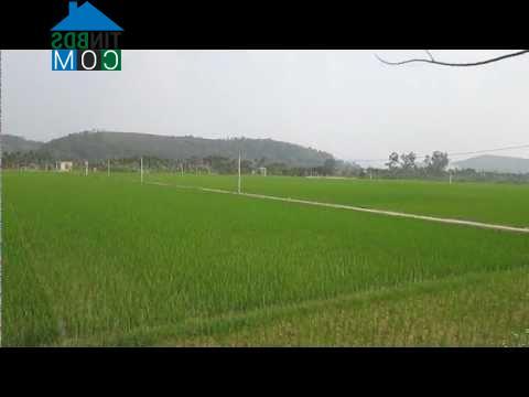 Hình ảnh Nam An Phụ, Hải Phòng