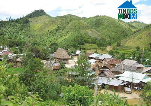 Hình ảnh Tây Giang, Đà Nẵng