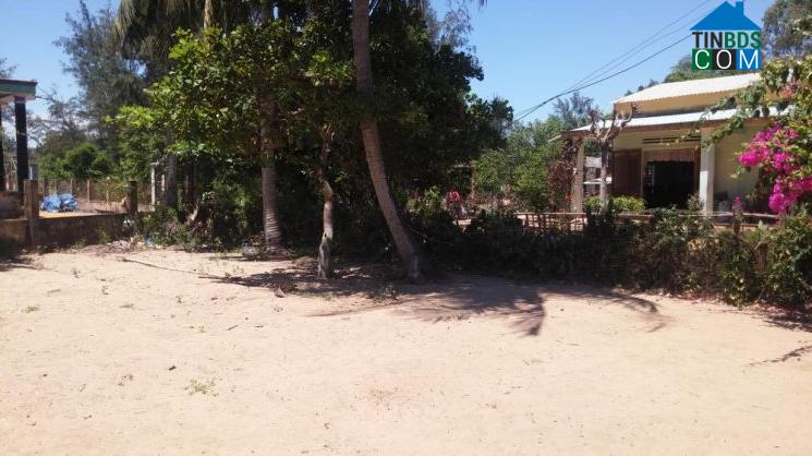 Hình ảnh Thăng Trường, Đà Nẵng