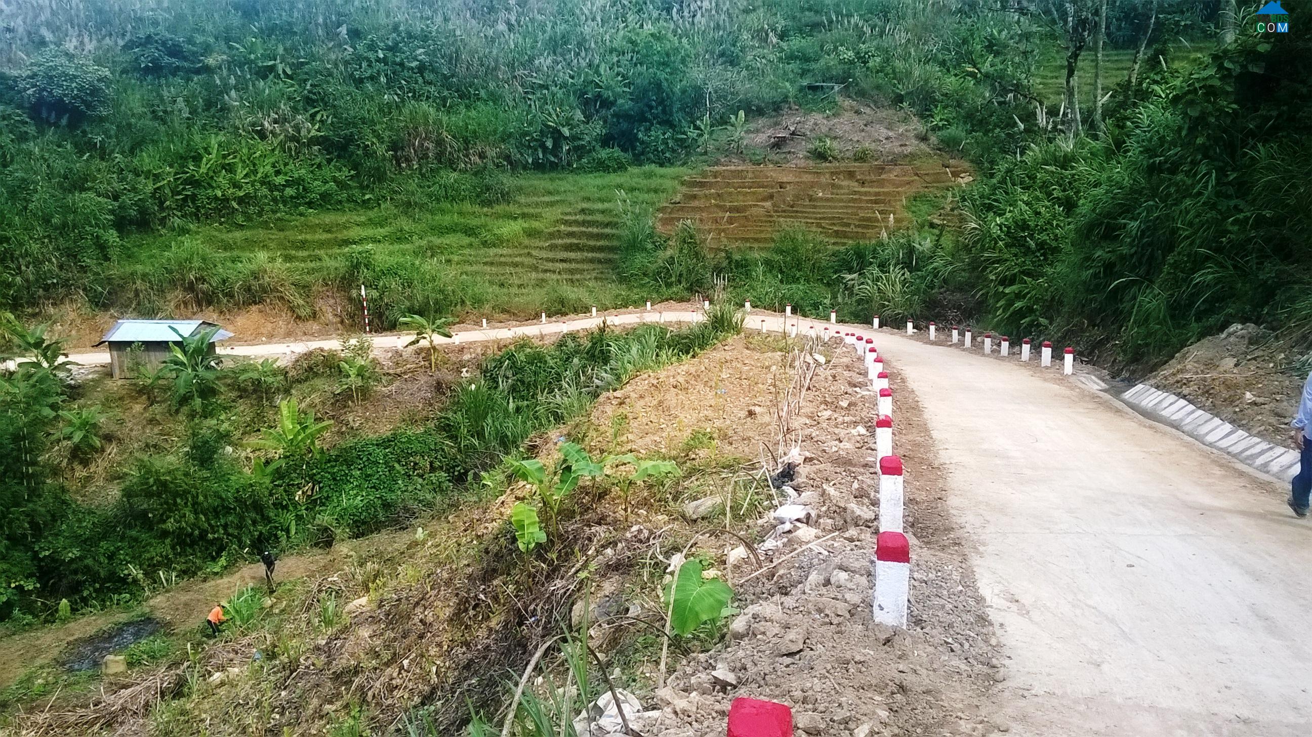 Hình ảnh Trà Linh, Đà Nẵng