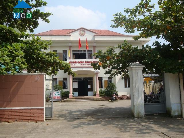 Hình ảnh Thanh Khê, Đà Nẵng