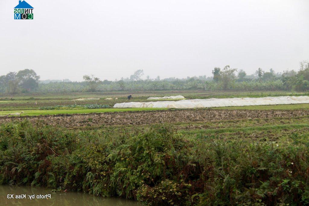 Hình ảnh Tân Minh, Hải Phòng