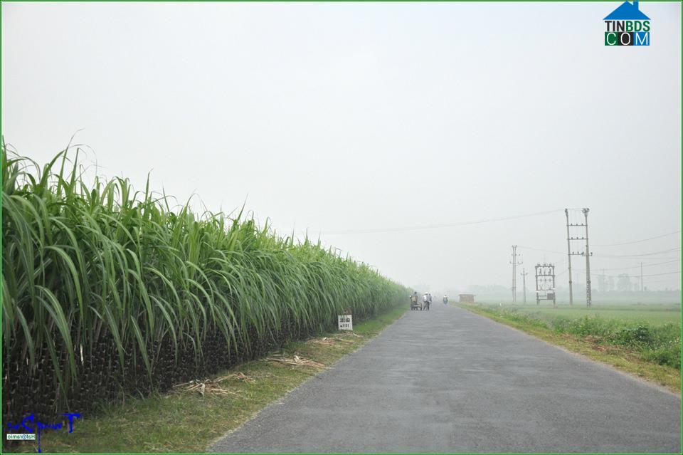 Hình ảnh Vĩnh Lại, Hải Phòng