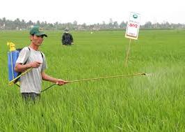 Hình ảnh Vĩnh Thịnh, Hải Phòng