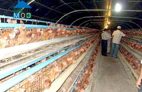 Hình ảnh Vĩnh Thuận, Hải Phòng