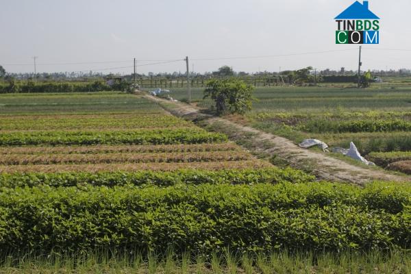 Hình ảnh Nguyễn Lương Bằng, Hải Phòng