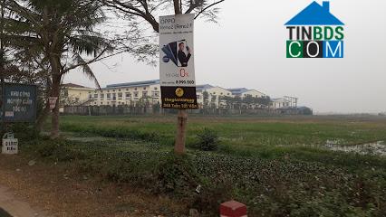 Hình ảnh Tiên Lãng, Hải Phòng