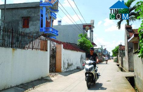 Hình ảnh Tuệ Tĩnh, Hải Phòng