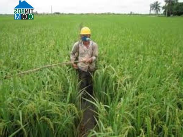 Hình ảnh An Trường, Hải Phòng