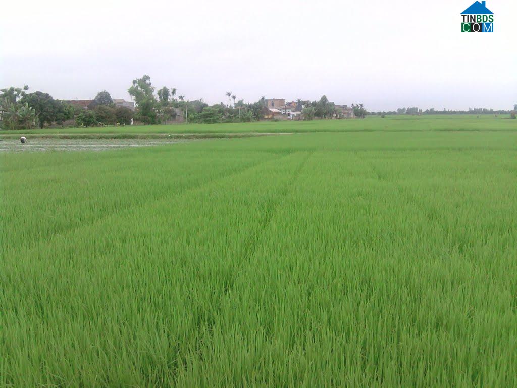 Hình ảnh Tân Kỳ, Hải Phòng