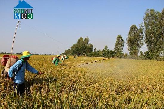 Hình ảnh Thạnh Mỹ Tây, An Giang