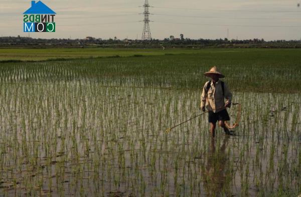 Hình ảnh Kiến Minh, Hải Phòng