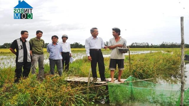 Hình ảnh Hòa Thuận, An Giang