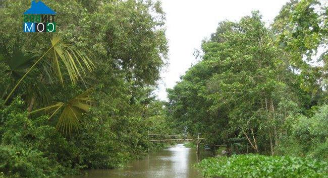 Hình ảnh Đông Hòa, An Giang