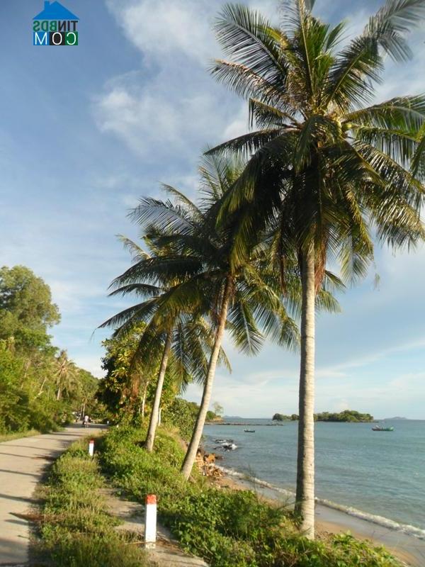 Hình ảnh Tiên Hải, An Giang