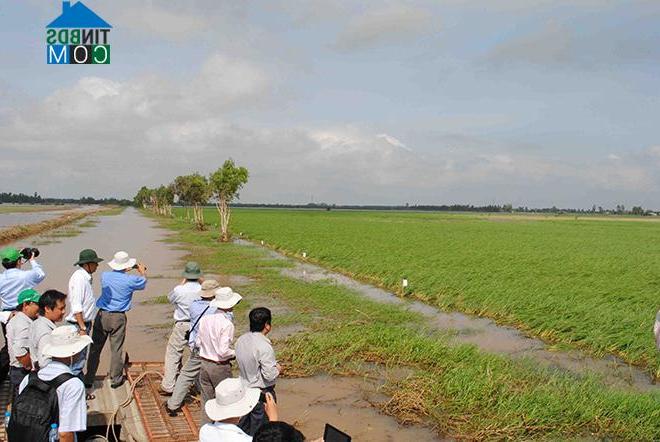 Hình ảnh Vĩnh Gia, An Giang